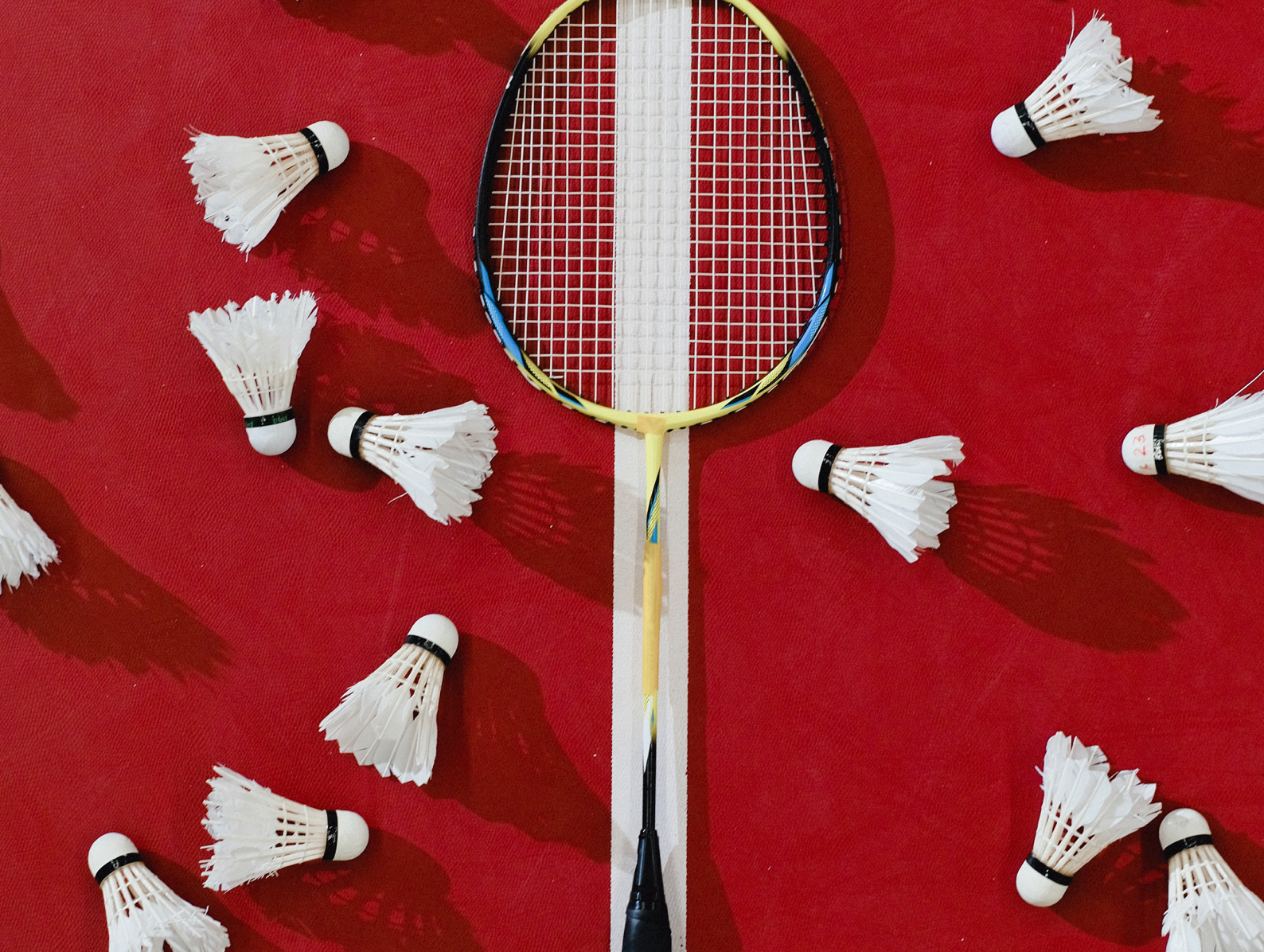 Kostenloses Stock Foto zu badminton, rotem hintergrund, schläger
